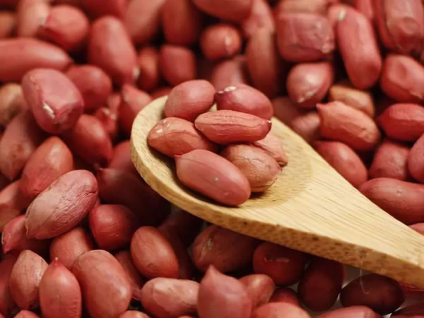 花生除雜振動篩 花生除雜振動篩